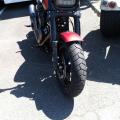 HARLEY FACE